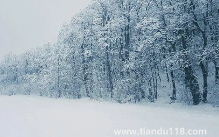 今年元旦北京會(huì)下雪嗎20231