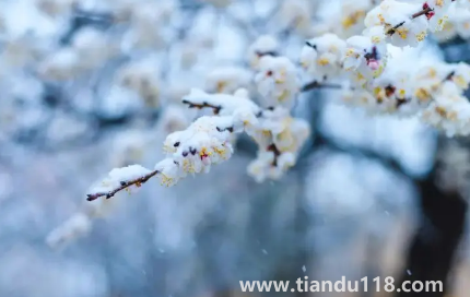 2022年11月份節(jié)氣到小雪是什么天氣（小雪節(jié)氣的氣象條件怎么樣）