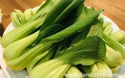 小雪節(jié)氣能不能種油菜2