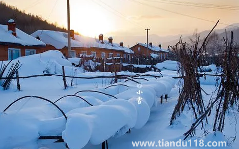 2022小雪過后就開始數(shù)九了嗎1