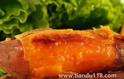 煙薯是轉基因紅薯嗎(什么是煙薯)(圖2) 煙薯是轉基因紅薯嗎2