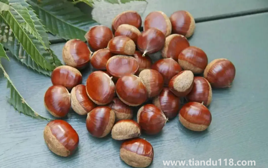 炒熟的板栗怎么保存不會(huì)壞還新鮮3