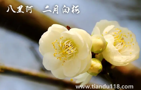 2022年閏二月冷不冷(閏月的歷史由來是怎么樣的)(圖2) 2022年閏二月冷不冷2