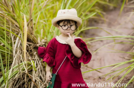 2023年屬兔最旺幾月1