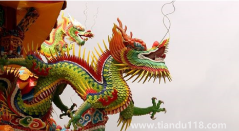 2023兔好還是2024龍好（2024年龍的運(yùn)勢好不好）