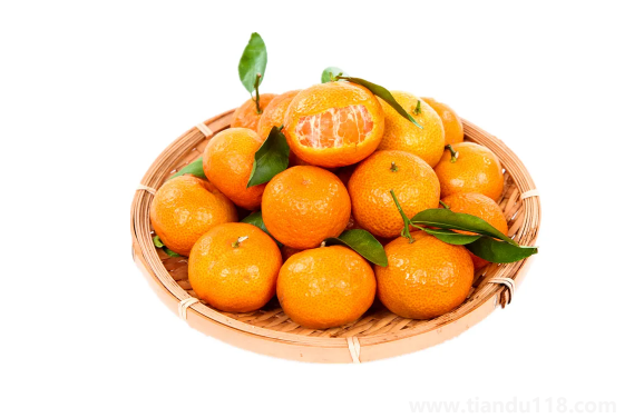 砂糖橘的皮可以沖水喝嗎（吃砂糖橘要注意什么）