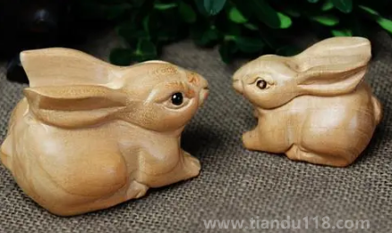 家里放置兔子影響主人運氣嗎（兔子在風(fēng)水上有何寓意）