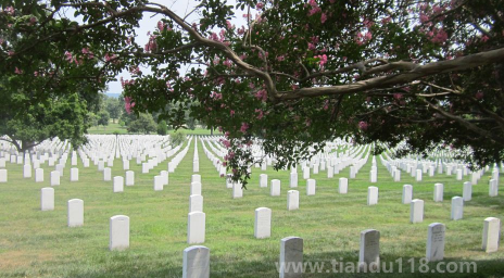 臘月二十一安葬要注意什么（安葬有必要選擇吉日嗎）