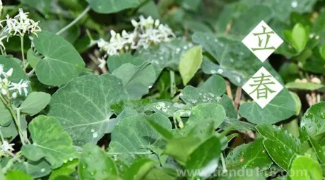 2023過年打春什么說法（打春后天氣怎么樣）