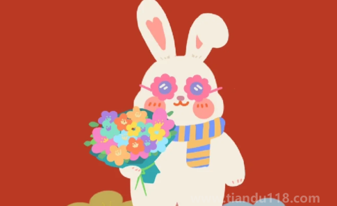 屬兔遇到黑兔年好不好2023（2023屬兔的本命年該如何度過(guò)）