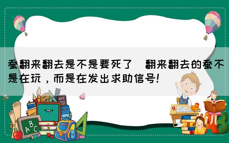 蠶翻來翻去是不是要死了(翻來翻去的蠶不是在玩，而是在發(fā)出求助信號！)