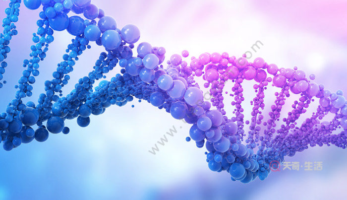 組成多聚核苷酸的骨架成分是